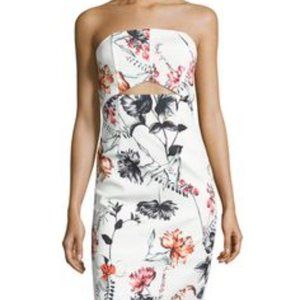 NWT State of Being Scuba Dress Floral- XS